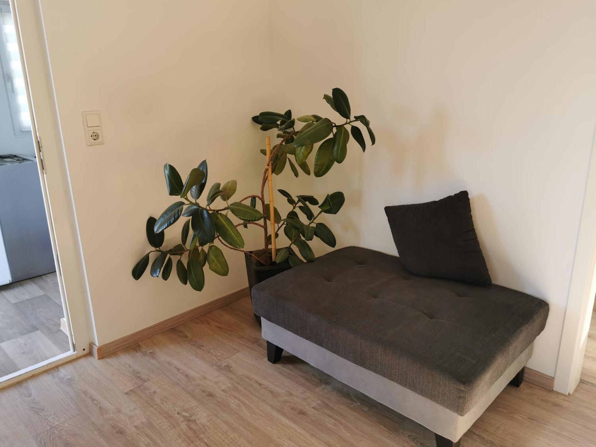 4-Zimmer-Wohnung Mit 6 Betten Bad Oeynhausen Ngoại thất bức ảnh